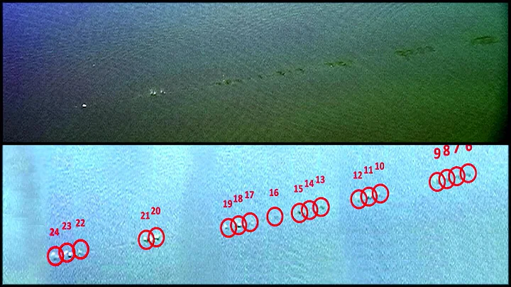 Kurt Steiner - Insane Stone Skipping - World Record - 88 Skips [with Count Overlay]