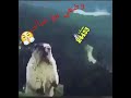 وضعي مع عيالي وضعي مع عيالي
