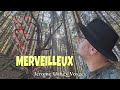 Cette fort cache une merveille     jerome urbex vosges merveille legender fort