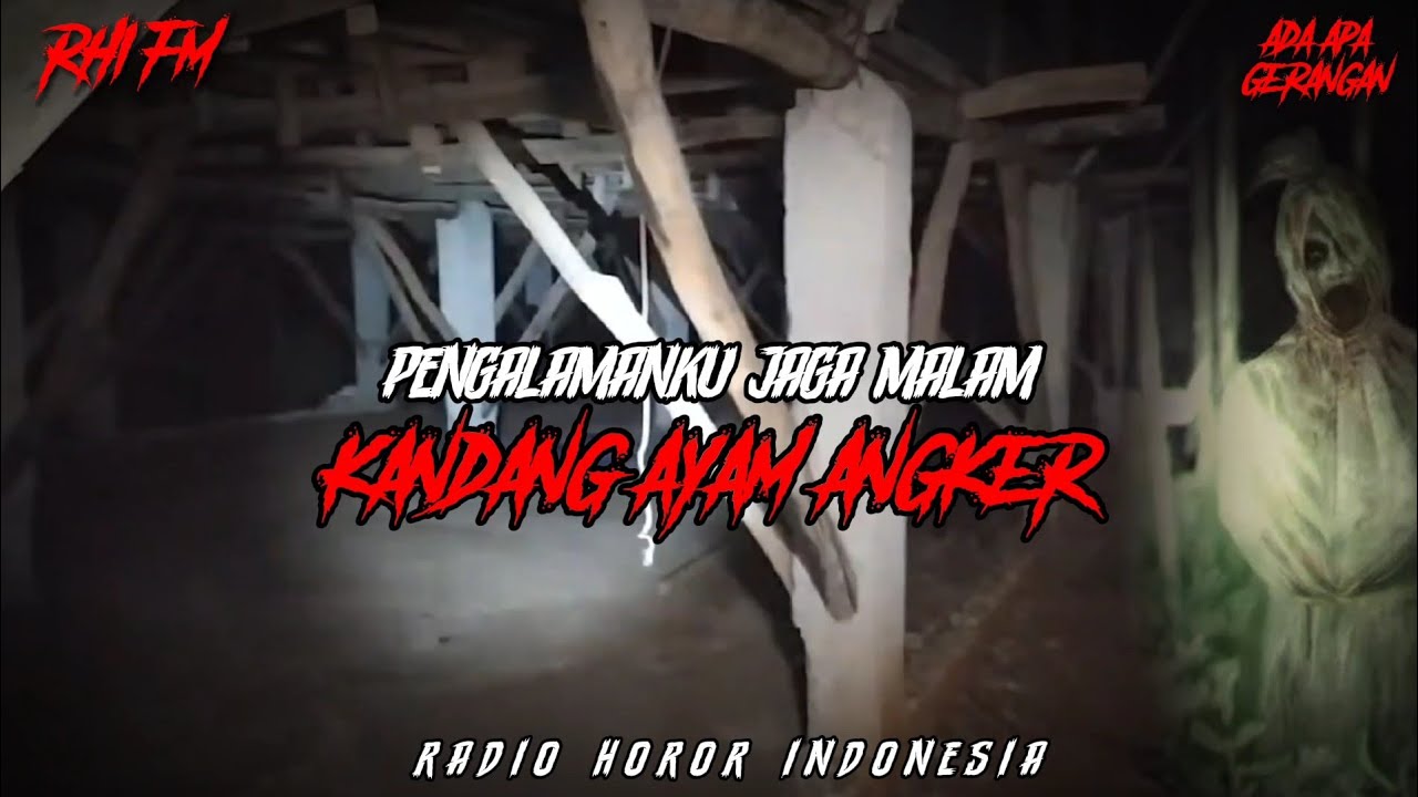 JANGAN JAGA KANDANG AYAM KALAU CIUT NYALI NYA❗