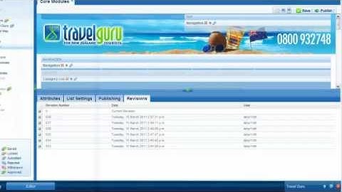 Getting Started: The Contegro Editor