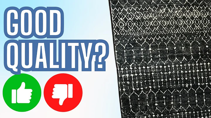 Lahome Area Rug REVIEW: Pros & Cons to Consider