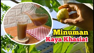 Cara Membuat Minuman Dari Buah Mengkudu Yang Enak Segar Menyehatkan pawonbapake minumanherbal
