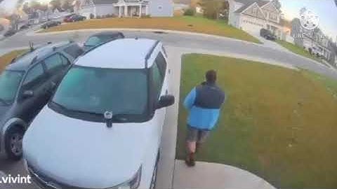 Viral Video Appears to Show Man Throwing Bobcat and wife