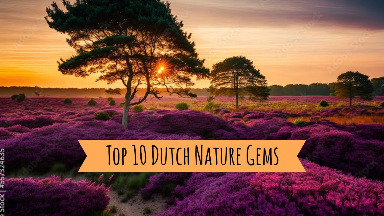 Top 10 Hidden Nature Gems in the Netherlands
