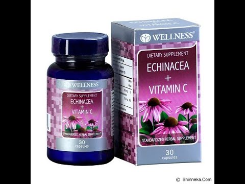 Video: Echinacea - Sifat Dan Kegunaan Perubatan