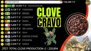 THE LARGEST CLOVE-PRODUCING COUNTRIES