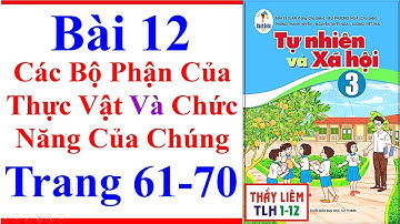 Tự Nhiên Xã Hội 3 Bài 12 | Các Bộ Phận Của Thực Vật Và Chức Năng Của Chúng | Trang 61 - 70 Cánh Diều