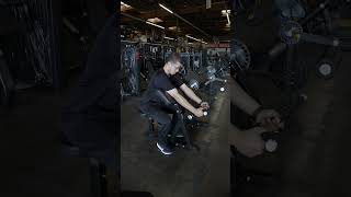 Plate Loaded Biceps Triceps extreme training equipment Plate Loaded Biceps Triceps extreme training equipment