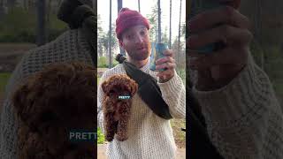 Dogs drink beer now?