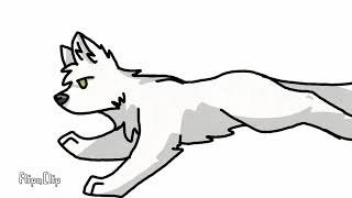 Wolf run cycle