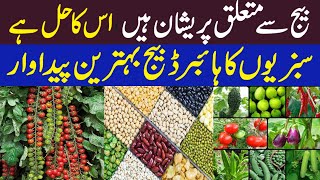 Hybrid seed-production-in-vegetables | Vegetable Farming in Pakistan || Kissan Pakistan