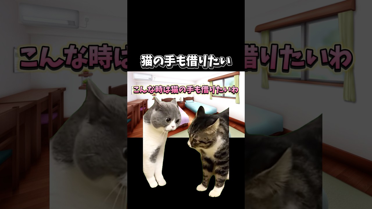 【猫ミーム】猫の手も借りたい