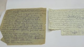 Letters to Lodz: The Zineski Collection (Curators Corner #37)