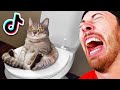 Extreme Try Not To Laugh Challenge!