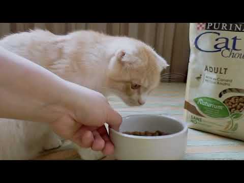 Cat Chow Adult корм для кошек с уткой