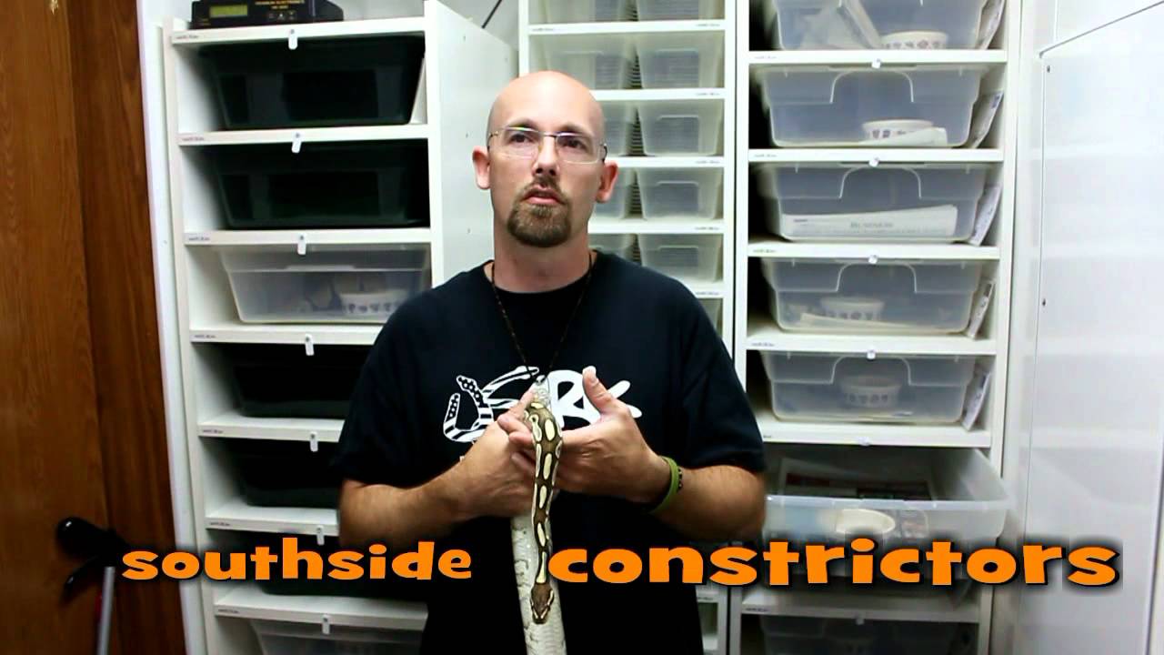 kids anka Rally For Reptiles Lots of Shout Outs