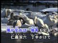 旅笠道中(健生演唱)