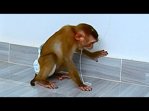 So Pity Polee What S Wrong Why Vomit After Drinking Milk