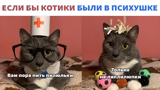 ЕСЛИ БЫ КОТИКИ БЫЛИ...  ПРИКОЛЬНЫЕ СИТУАЦИИ В МИРЕ КОТОВ