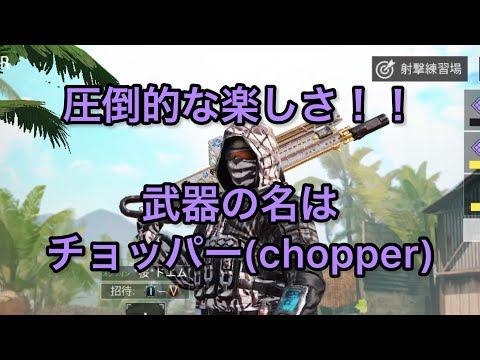 圧倒的に楽しくて強いチョッパーを使ってランクマをぶち壊す【codモバイル】