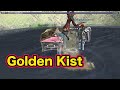 FF11 醴泉島 ギアスフェットNM Golden Kist 赤 フェイス FF11 醴泉島 ギアスフェットNM Golden Kist 赤 フェイス