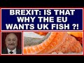 Brexit: so is that why the EU wants our fish! (4k)