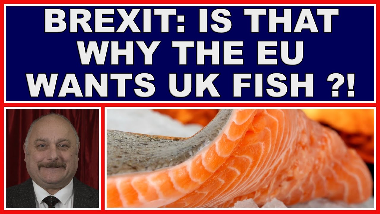 Brexit so is that why the EU wants our fish! (4k) YouTube