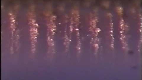 Self aligning particles