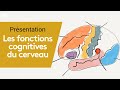 Identifier les fonctions cognitives du cerveau  formation neurologie