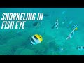 【グアム】フィッシュアイでシュノーケリング