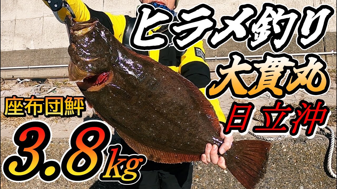 【ヒラメ釣り】ヒラメ船釣りで常磐日立沖の鮃を狙たら座布団鮃が姿を現す！茨城県の日立久慈港から大貫丸でヒラメを釣っていく！