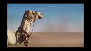 iklan djarum 76 | kasus korupsi HILANG