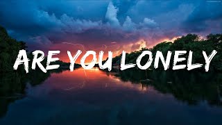 Alan Walker & Steve Aoki - Are You Lonely (Lyrics) feat. ISÁK & Omar Noir Lyrics Video