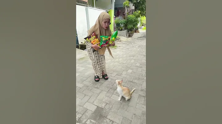 Watch the video about Kucing mau? #cat #funny #sitihodijahtv #trending #shorts#viral