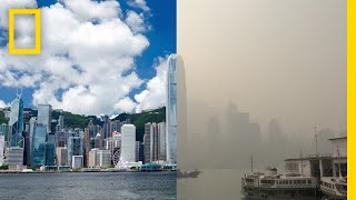 Thick smog choked hong kong's victoria harbour, hiding what on other
days is an impressive spectacle of sea, hills, and skyline. every
monitoring station in ...