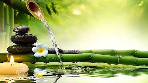 Healing Water Bamboo Fountain Sound | 30 Mins No Music Water Stream Only for Deep Healing