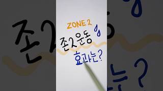 존2운동, 존투트레이닝 효과 뭔데? 💪