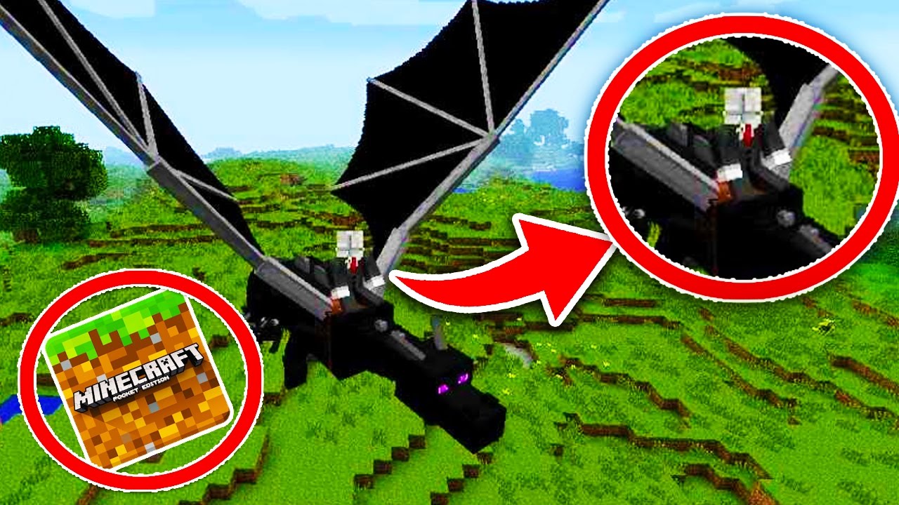 COMO DOMESTICAR Y MONTAR AL ENDER DRAGON PARA MINECRAFT PE 1.0 / 0.17.0