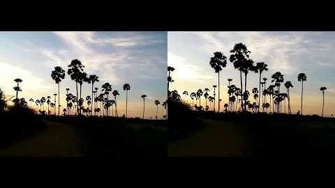 VirtualDub Deshaker Filter Test (No Audio)