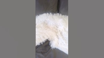 day 1 of making horrible transitions