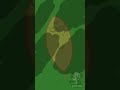La Vida de Las HOJAS (Fandub En Español) Wearing Bones En ESPAÑOL #shorts #humor