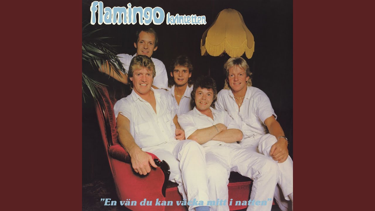 En Vän Du Kan Väcka Mitt I Natten