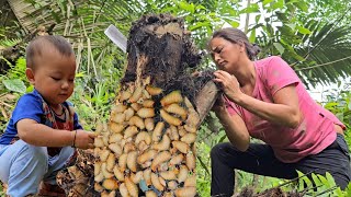 Mother and son, get wood to prepare for a new house, cut down trees to get worms, and cook food