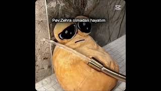 Zehra Olmadan Hayatım