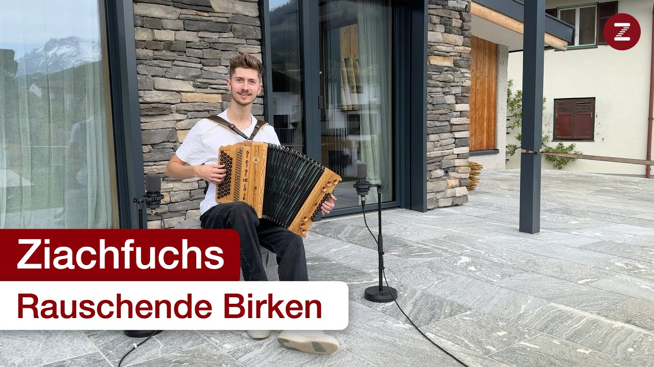 Rauschende Birken 😊🌳 - Steirische Harmonika