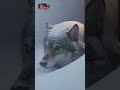 Real bushcraft moments and raw wildlife encounters—nature exactly as it is.