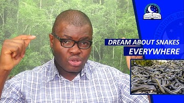 DREAM ABOUT SNAKES EVERYWHERE - Find Out The Biblical Dream Interpretation