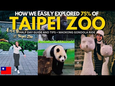 🇹🇼 TAIPEI ZOO VLOG: How We Saw MOST of It in Half a Day + Maokong Gondola Ride at Night
