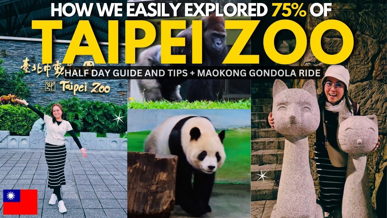 🇹🇼 TAIPEI ZOO VLOG: How We Saw MOST of It in Half a Day + Maokong Gondola Ride at Night